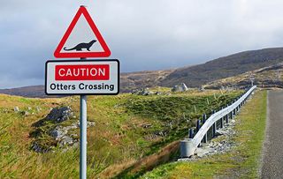 Caution, Otters Crossing - on the island of Scalpay, Harris