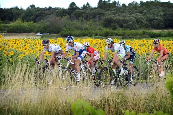 It wouldn't be the Tour without sunflowers