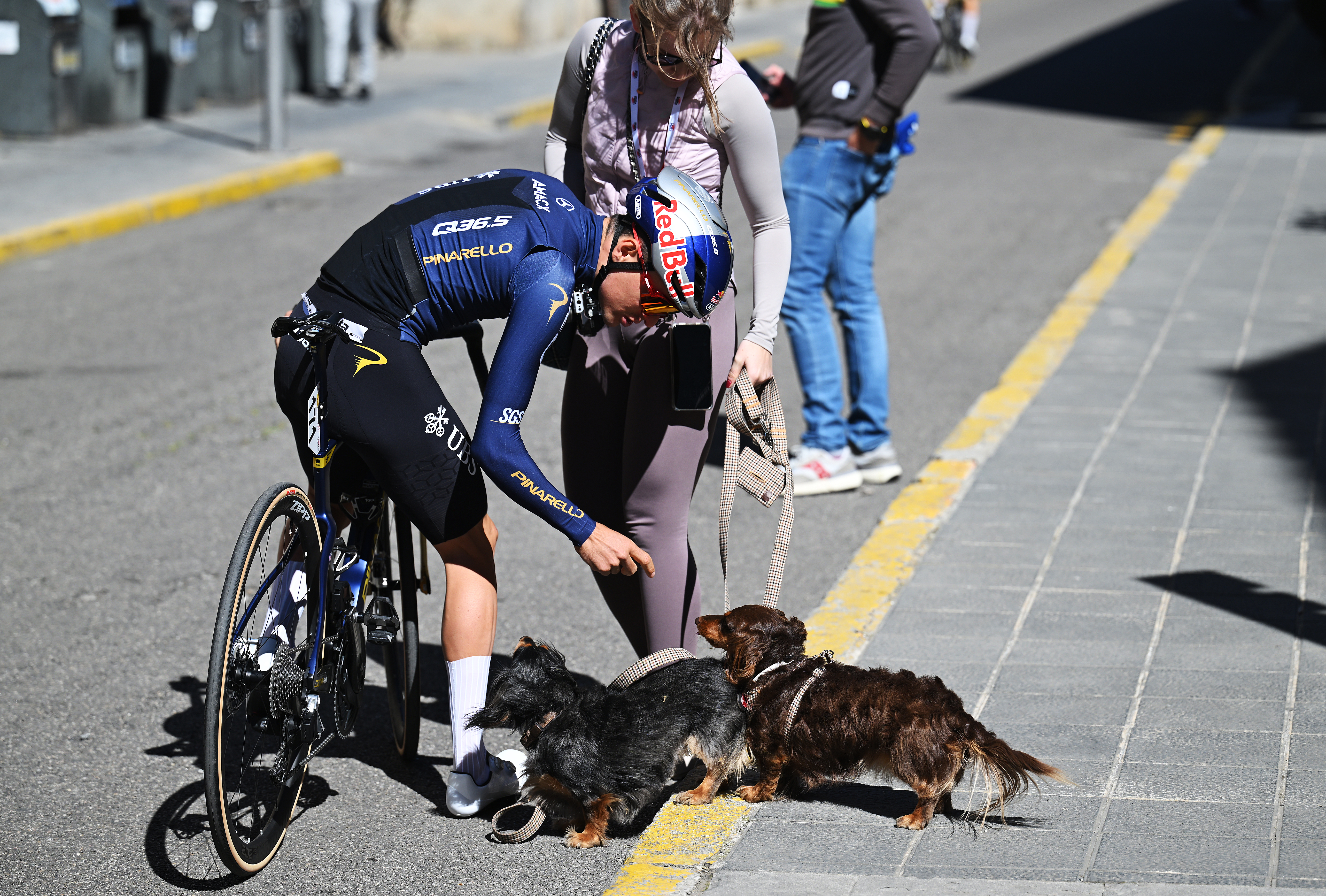 LA MOLINA, SPAIN - MARCH 27: Thomas Pidcock of Great Britain and Team Pinarello Q36.5 Pro Cycling with his dogs prior to the 105th Volta a Catalunya 2026, Stage 5 a 155.3km stage from La Seu d&amp;amp;apos;Urgell to La Molina/Coll de Pal 2109m / #UCIWT / on March 27, 2026 in La Seu d&amp;amp;apos;Urgell, Spain. (Photo by Szymon Gruchalski/Getty Images)
