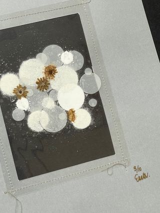 Material Value, bone dust, pearl dust, pressed flowers, by Emma Witter. A piece of black paper board with a grey frame, white powder and flowers on it..