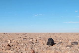 The black "rock" is an Almahata Sitta meteorite found in the Nubian Desert in northern Sudan.