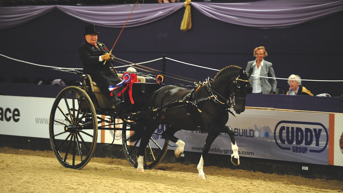Jeff Osborne in harness championships at HOYS