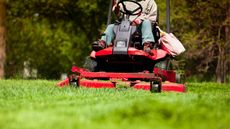 An example of riding mower vs push mower, a riding lawnmower mowing grass