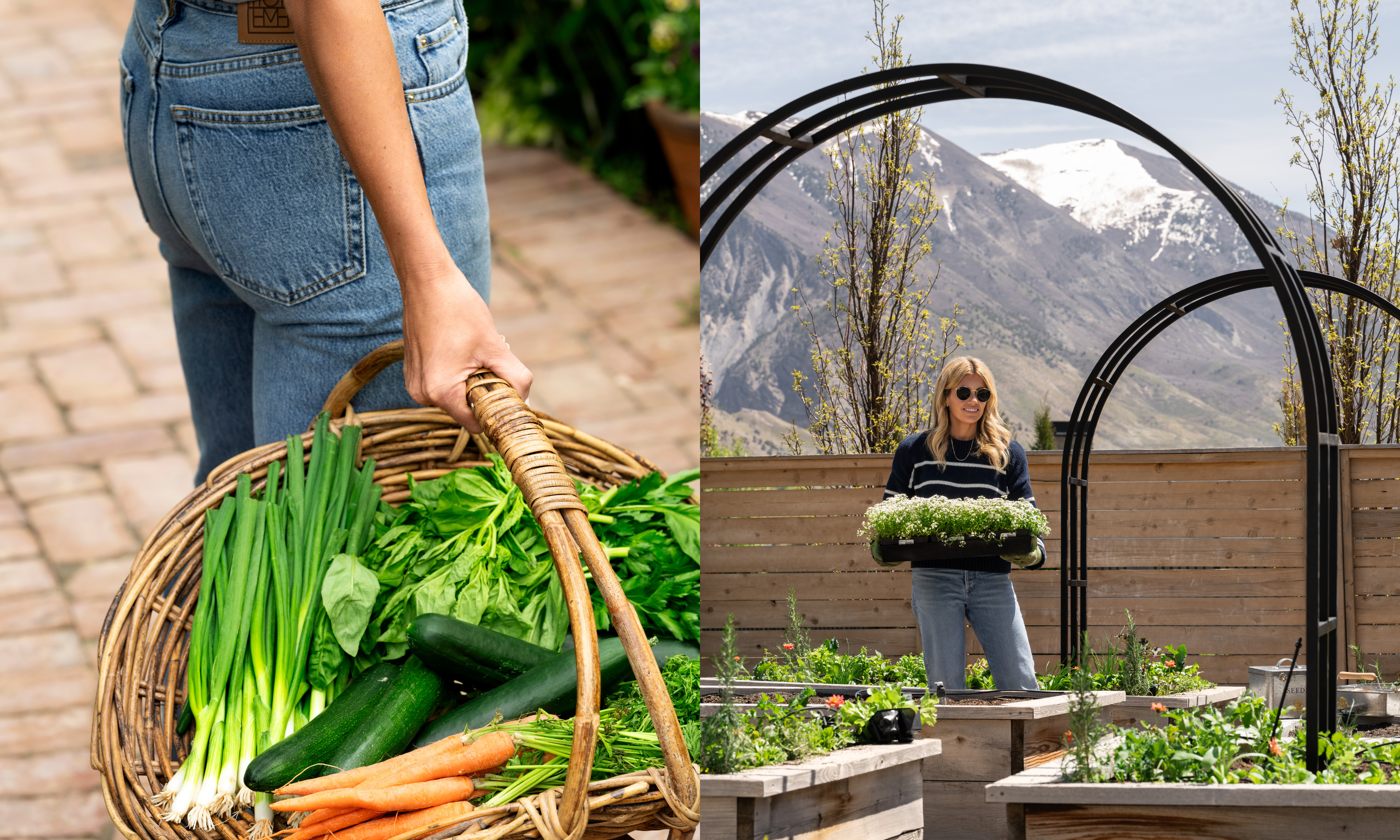 harvested veggies in a wicker basket, and Shea McGee stood next to raised beds holding plug plants
