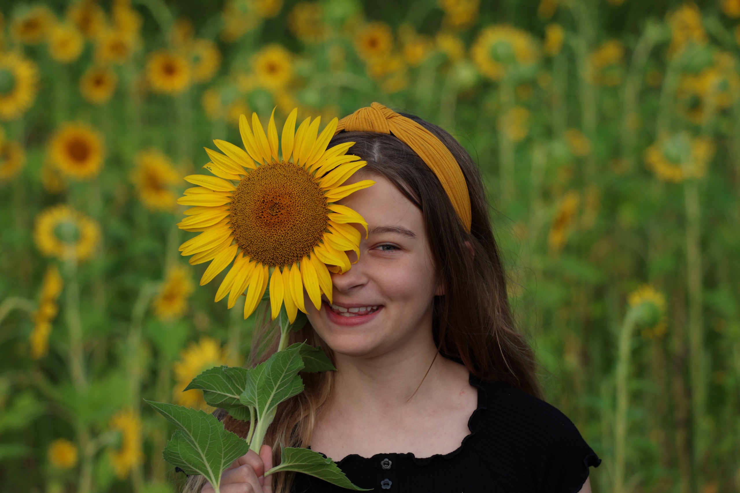 A sample image taken with the Canon EOS R8 Mark II and the RF 100-400mm f/5.6-8 IS USM