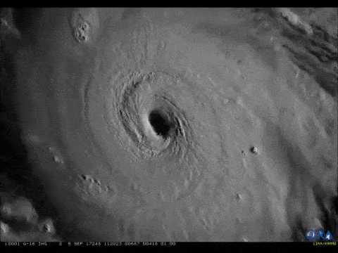 Irma