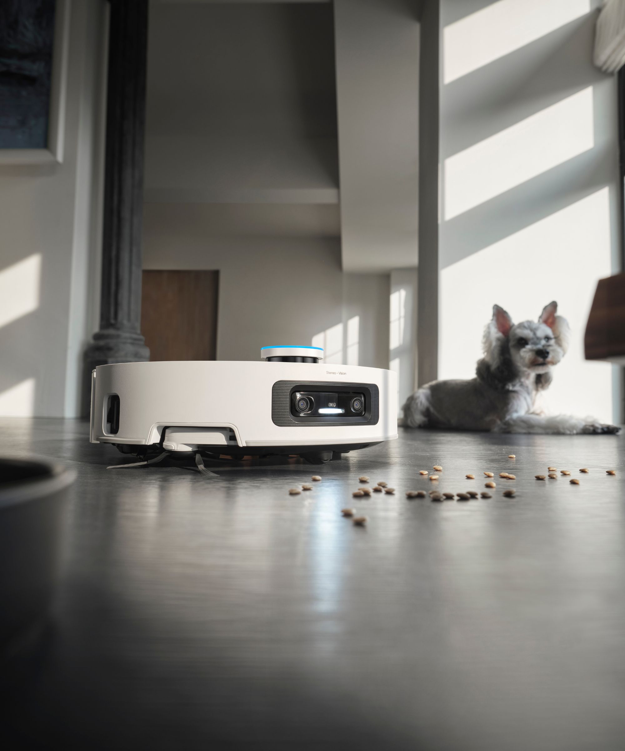 Dreame Aqua10 Ultra Roller on gray floor next to pet kibble and a small, gray dog. Sunlight is pictured beaming onto the neutral room's walls.