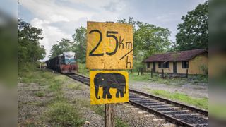 An elephant sign on a railway in Sri Lanka