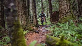 A woman of colour rides a Liv Embolden mountain bike over some slippery-looking tree roots and is about to descend a rock garden in the woods