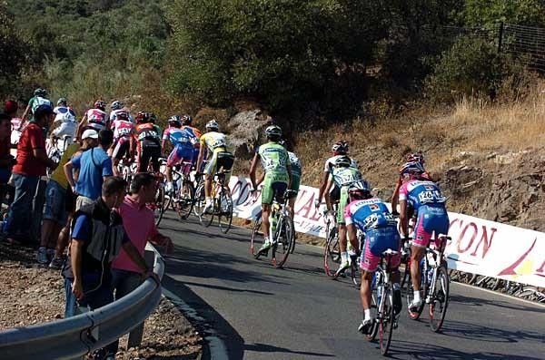 A bunch of riders make their way up a climb on Stage 4.