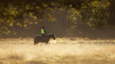 How menopause is affecting some horse riders