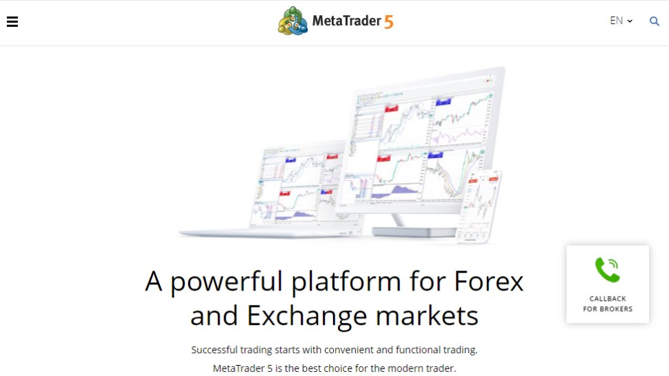 Website screenshot for MetaTrader