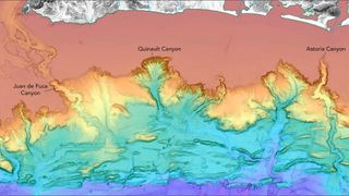 Portland lies near the Cascadia Subduction zone, where the Juan de Fuca plate is diving beneath the North American plate. The Gales Creek fault, which is a forearc fault between the spot where the plates meet and a chain of volcanoes that links it to the subduction zone, could rupture with a major earthquake, the new study finds.