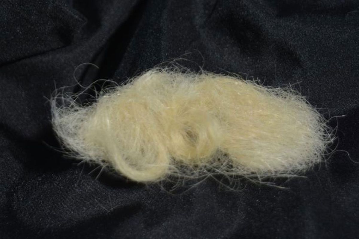 Johnny Winter's actual beard.