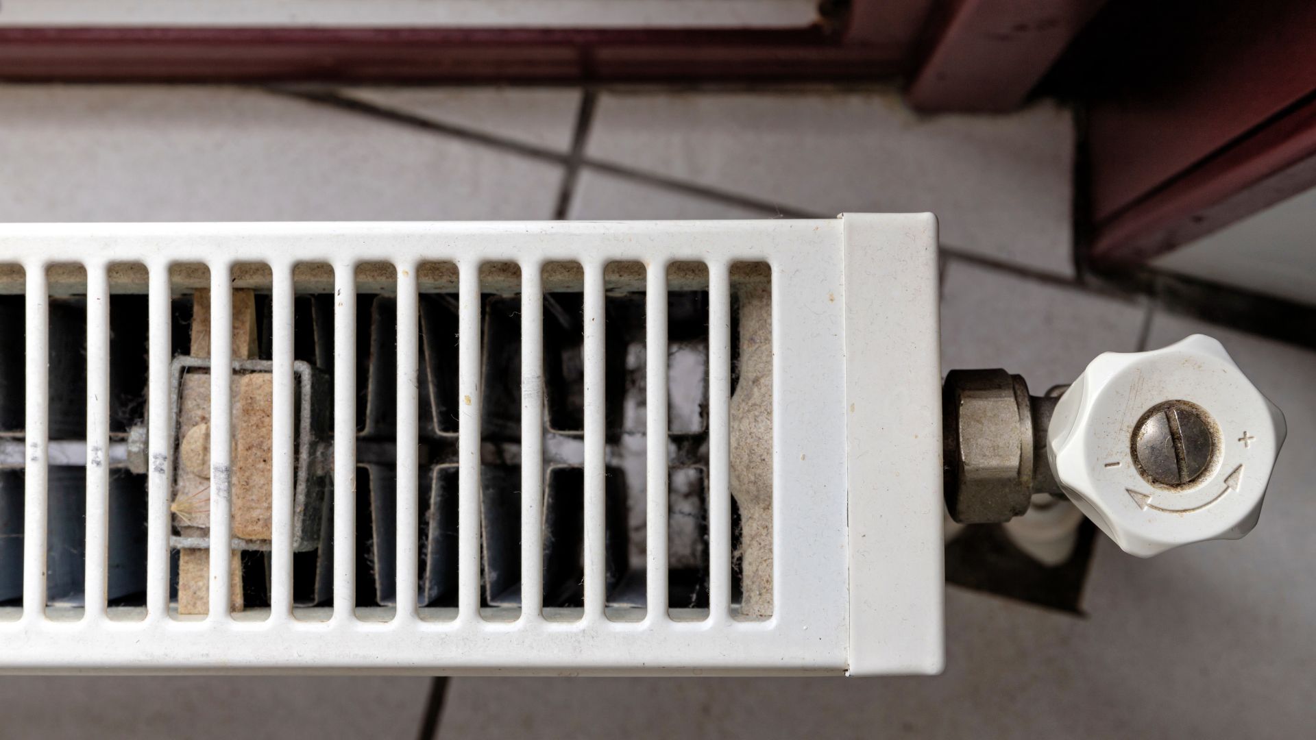 inside of radiator