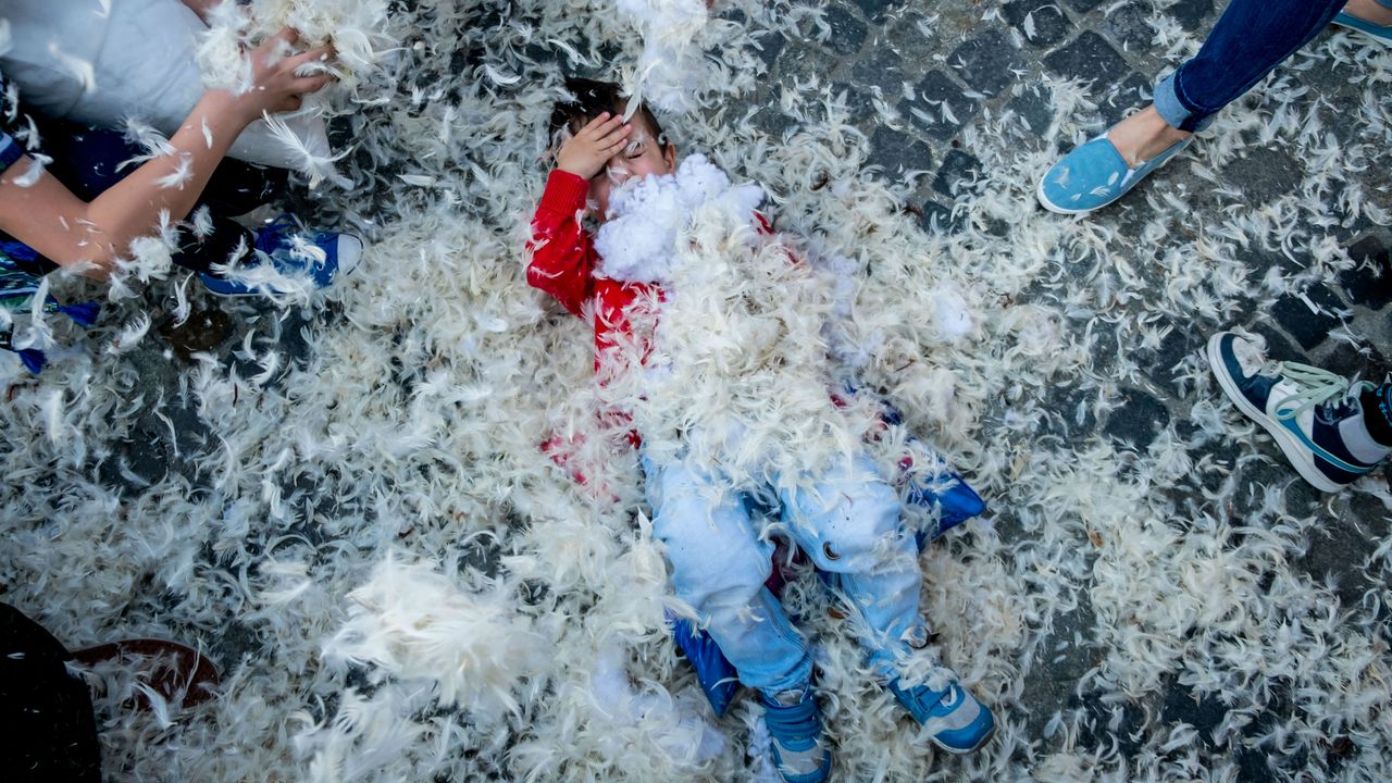 International Pillow Fight 2017