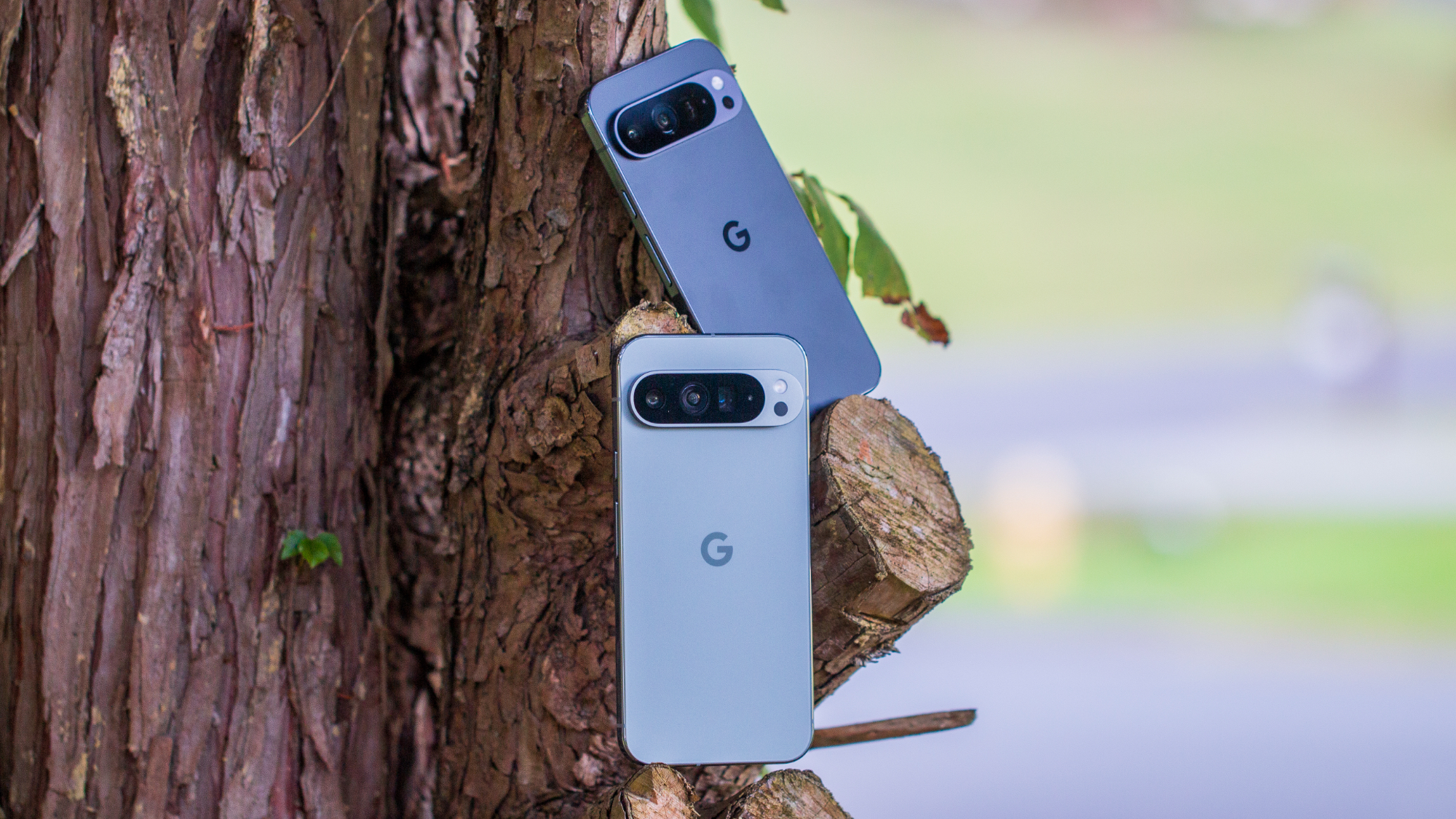 Google Pixel 9 Pro and Pixel 9 Pro XL in tree