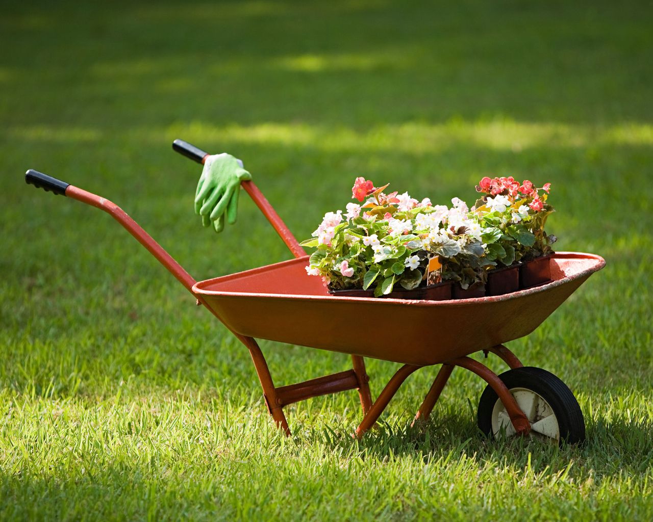 Best wheelbarrow 2022 7 top picks to help with all your gardening jobs
