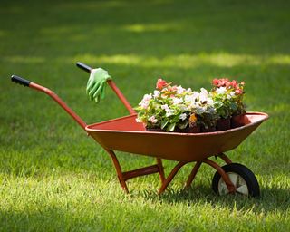 A red wheelbarrow full of flowers in the middle of a green lawn