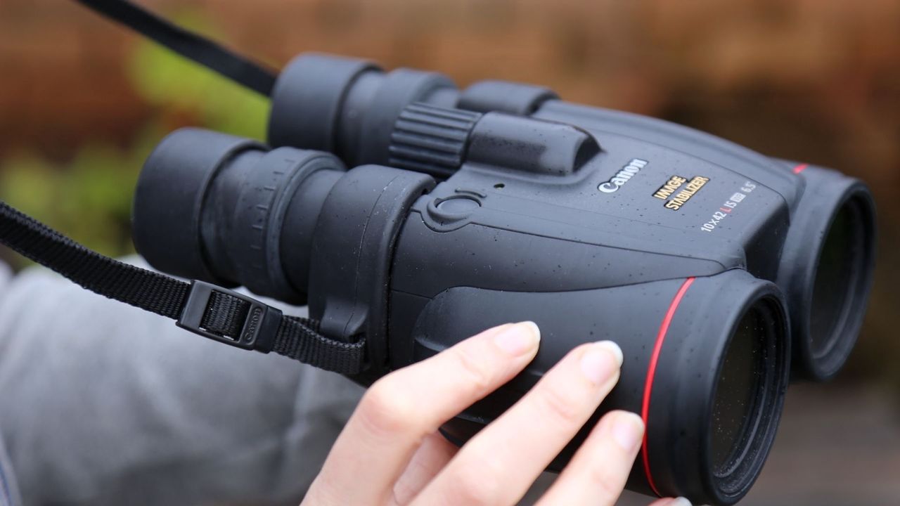 Canon 10x42L IS WP binoculars review