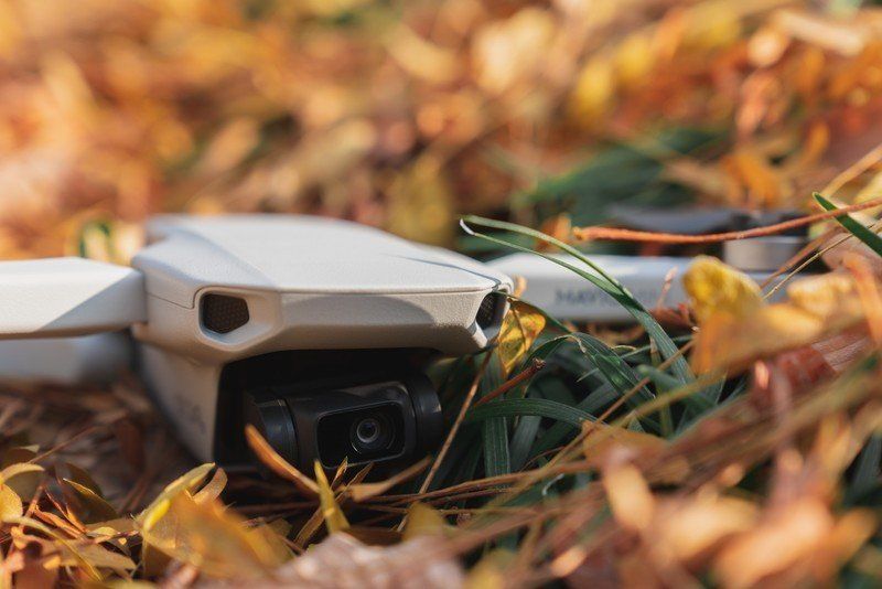 DJI Mavic Mini in the grass