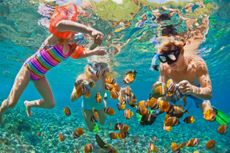 Underwater photo. Happy family snorkelling in tropical sea