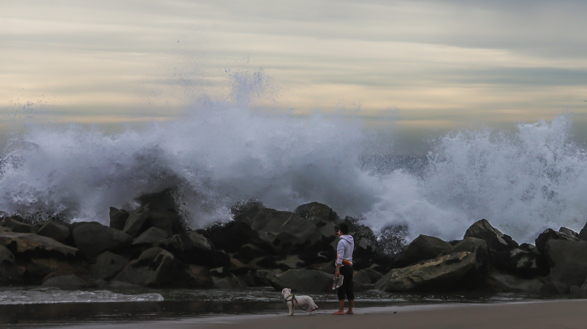 A man takes a picture of the big waves in the breakwater in Venice beach while he walks with his dog on January 15, 2022 in Los Angeles, California. A tsunami advisory was in effect for the West Coast of the United States as well as Hawaii and Alaska after an undersea volcano erupted in the Pacific Ocean near Tonga.