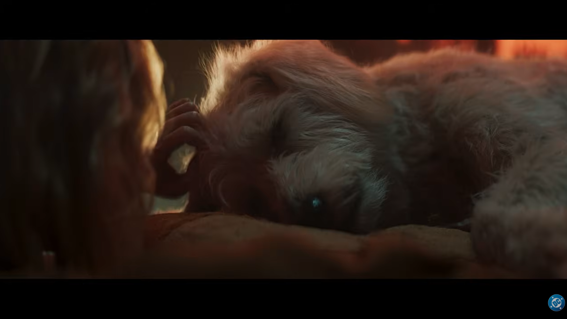 (L-R): Milly Alcock as Kara Zor-El and Krypto in the teaser trailer for &quot;Supergirl&quot; (2026).