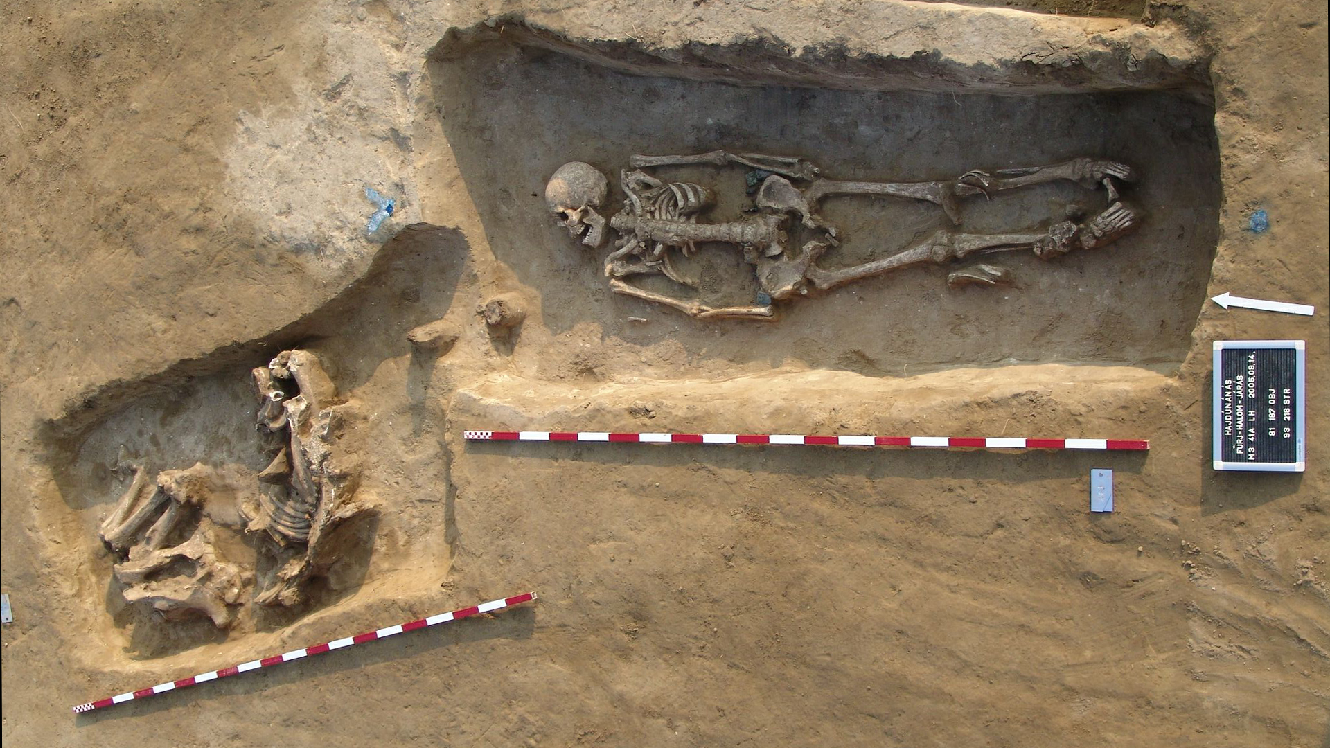 Two close burials, one of a man and the other of a horse.