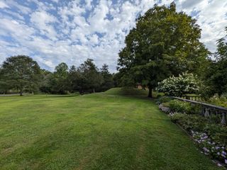 Field of grass with trees