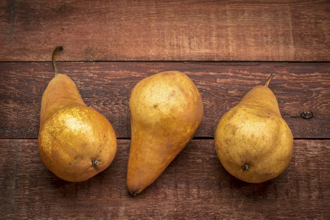 Three Winter Pears