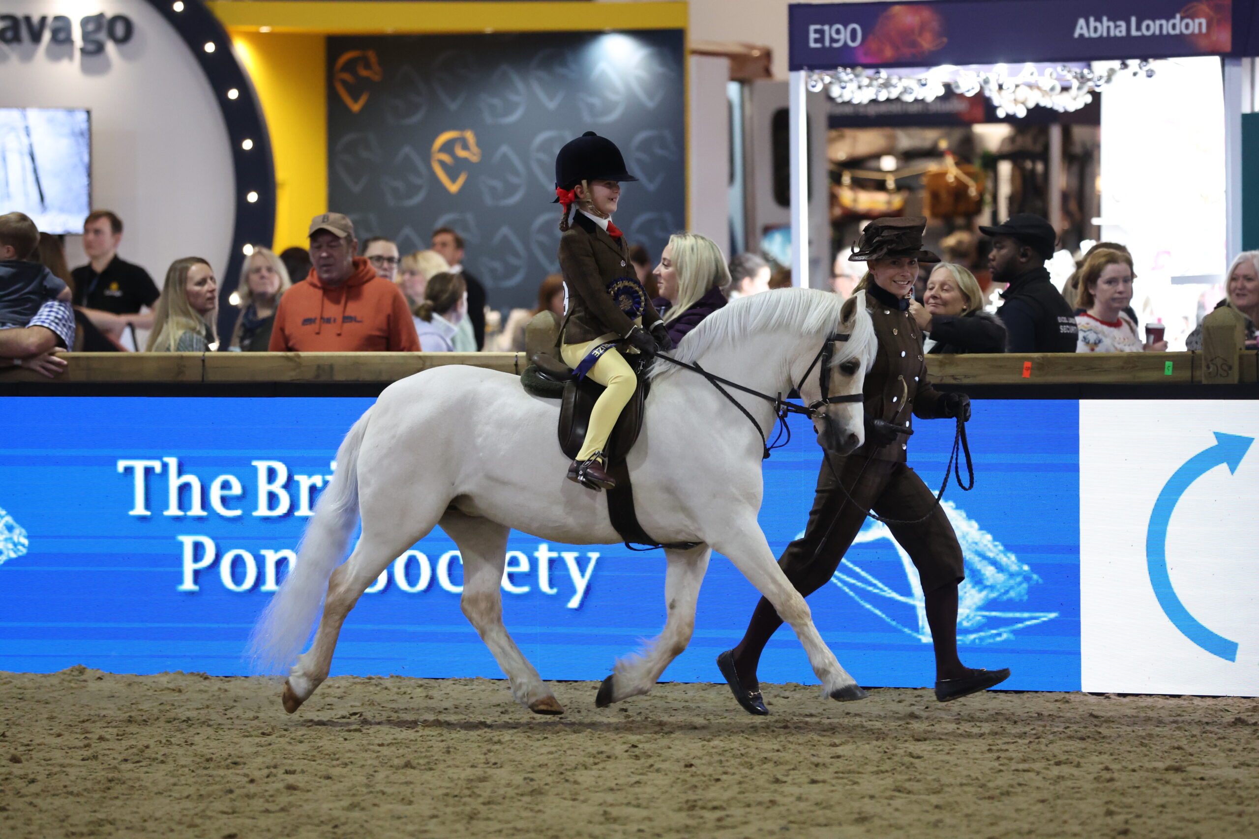 S24_H36_1216-scaled.jpg