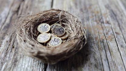 pound coins in a nest