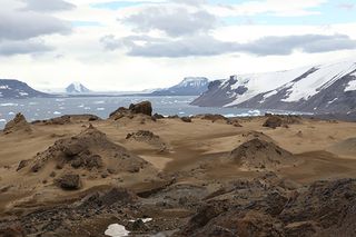 Vega Island in the Antarctic Peninsula.