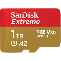 SanDisk 1TB microSDXC card|
