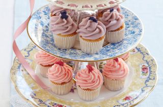 Roses are red, violets are blue mini cupcakes