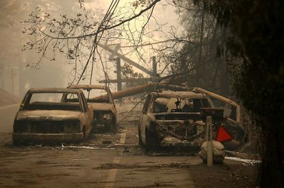 Charred cars on a road in Paradise, California.