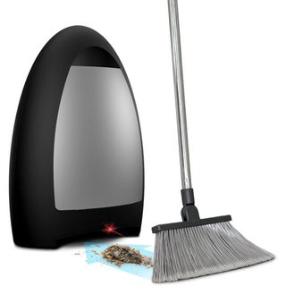 Vacuum and dust pan