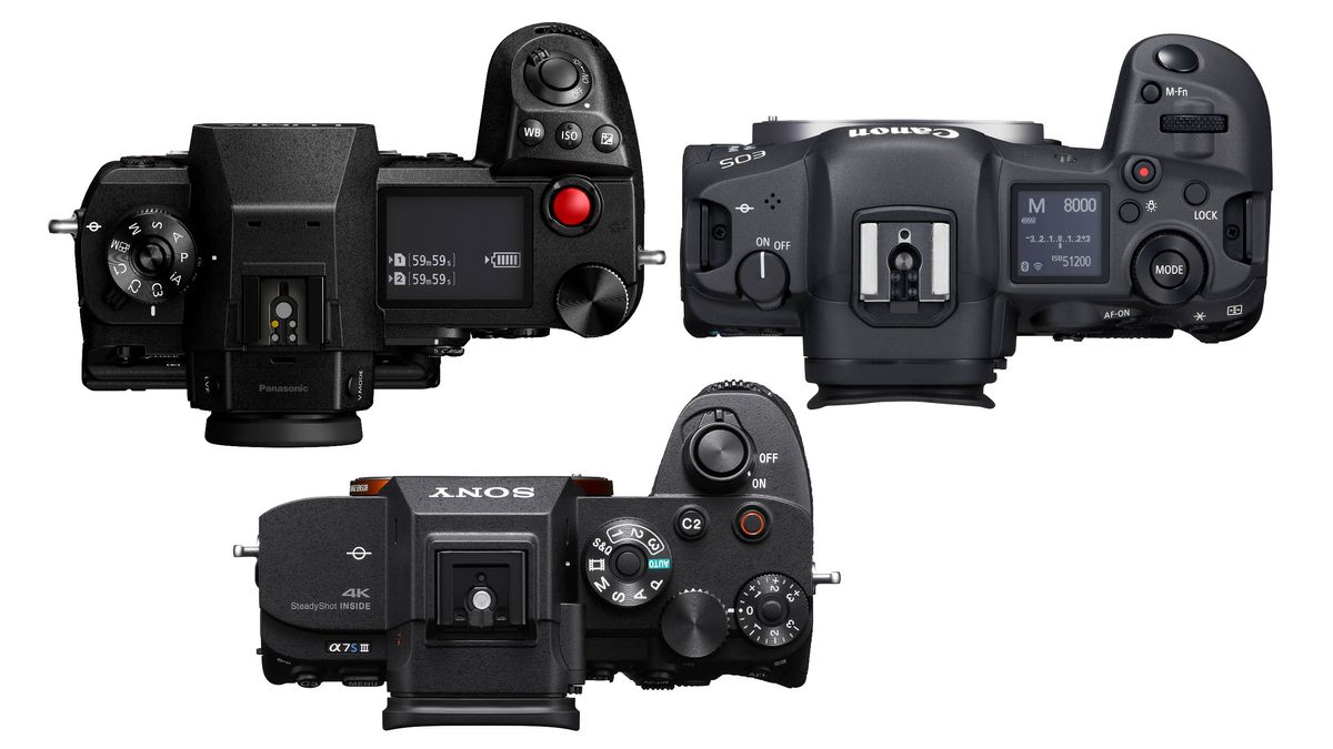 Sony A7S Mark III vs Panasonic Lumix S1H vs Canon EOS R5 | Digital ...