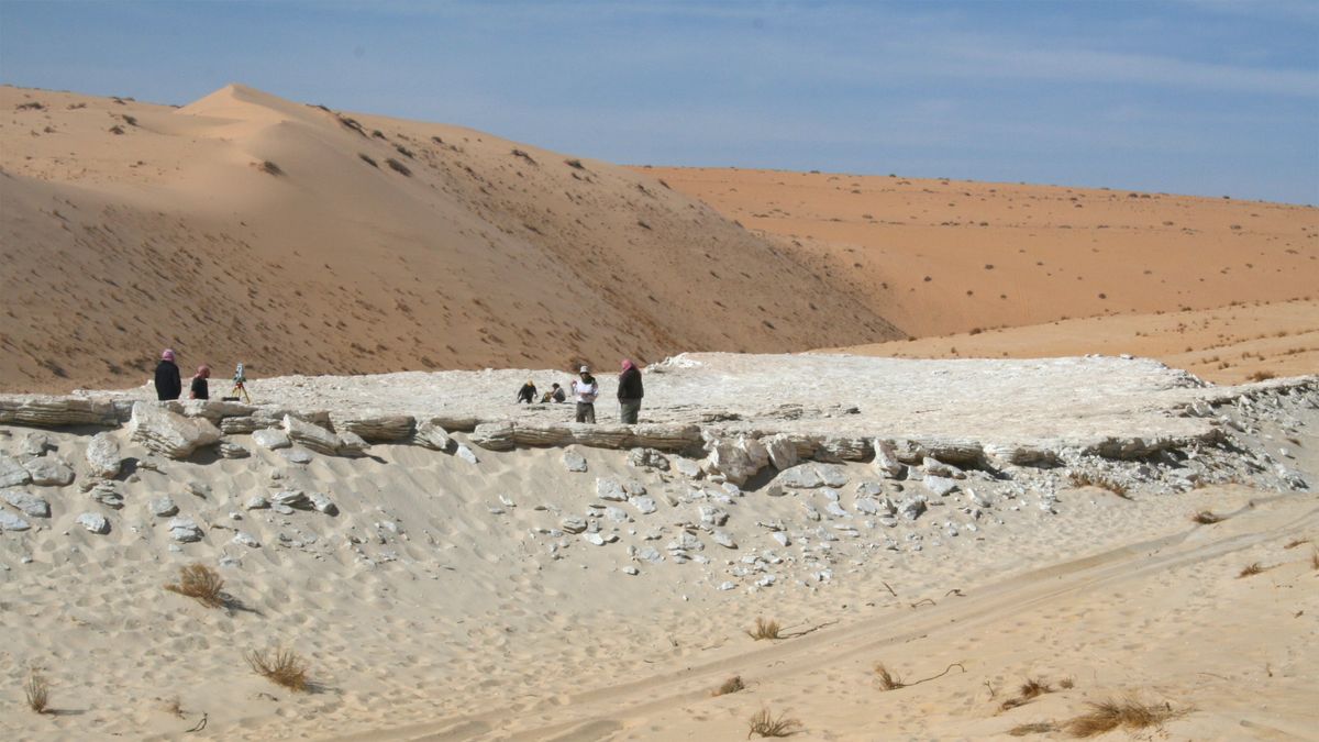 Researchers surveying the Alathar lake, situated within an interdunal depression in the western Nefud Desert, Saudi Arabia.