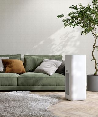 A white air purifier next to a green sofa and indoor tree, with a white wall in the background, wooden parquet flooring and grey shaggy rug