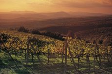 Brunello ad