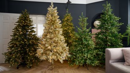 A black-painted living room with a grey sofa filled with five lit-up artificial Christmas trees