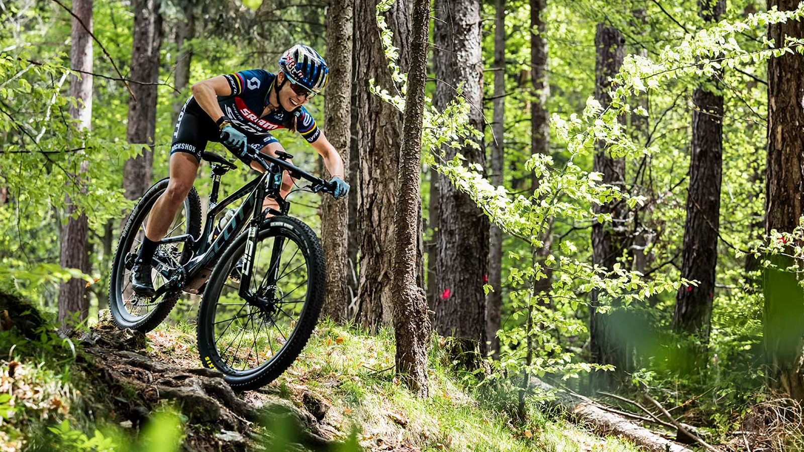 Best mountain bikes 2023 – the we've tested for cross-country, downcountry and trail | BikePerfect