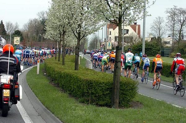 The peloton in two bits, separated by the road divider