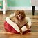 Aspen Pet Self-Warming Bolster Dog Bed