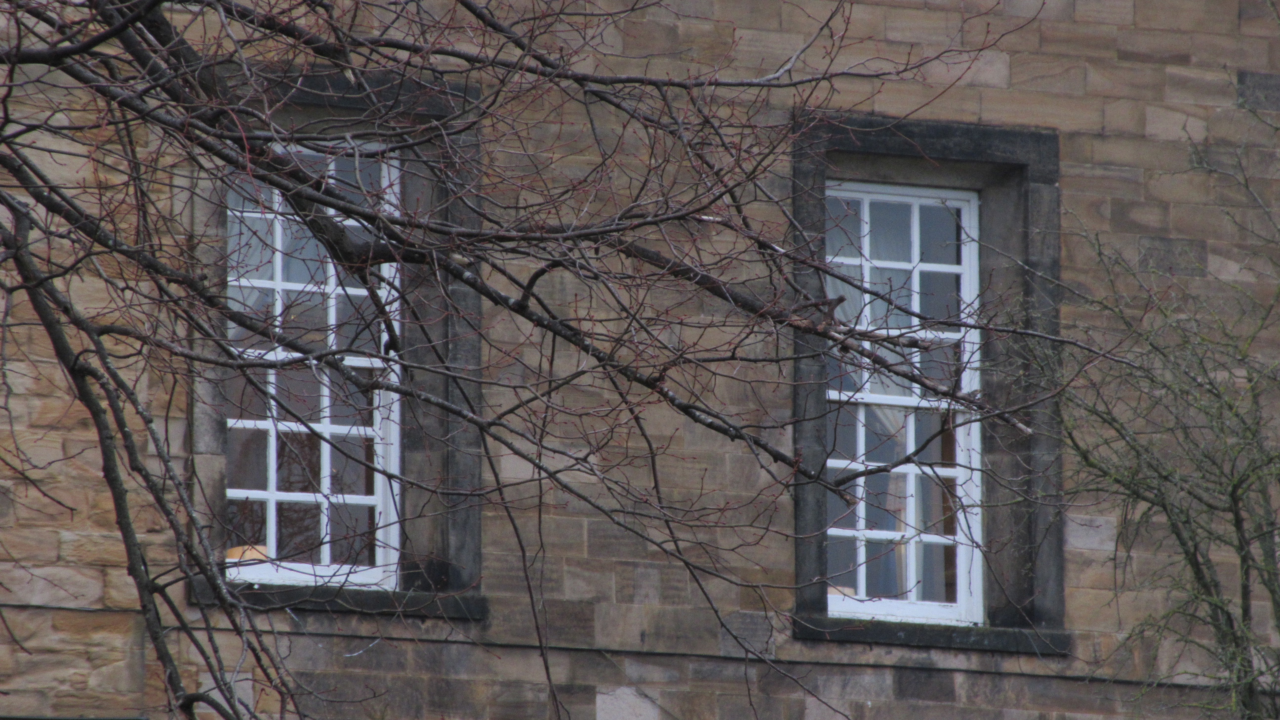 Images shot with the Canon PowerShot Ixus 285 HS A