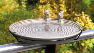 Aldi Belavi bird drinking trough