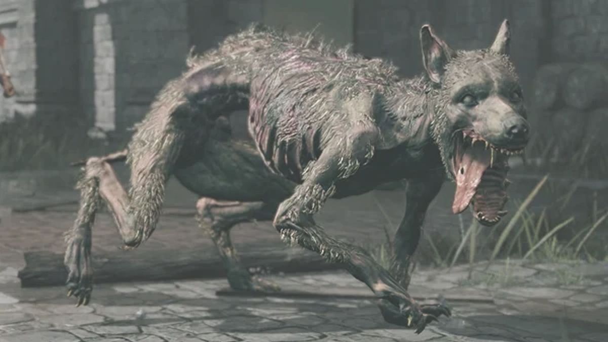 Unveiling the Truth: Elden Ring’s So-Called ‘Friendly’ Dog Exposed as No Different from the Rest of The Lands Between’s Menacing Canine Pack