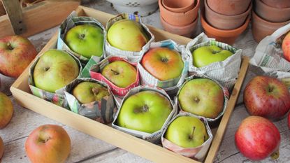 how to store apples in a crate wrapped in paper